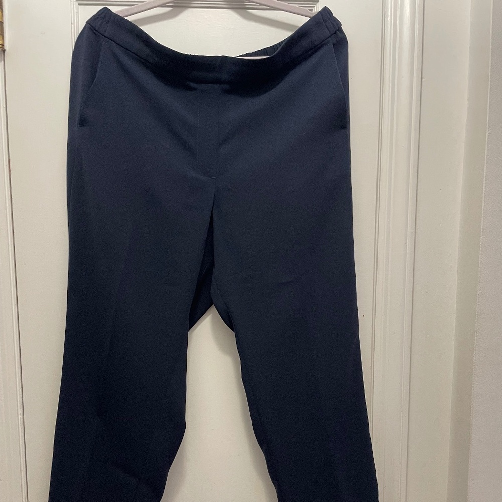 Gently-worn J Crew Factory Jamie Pants Navy size 14